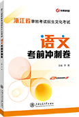 浙江省单独考试招生文化考试语文考前冲刺卷